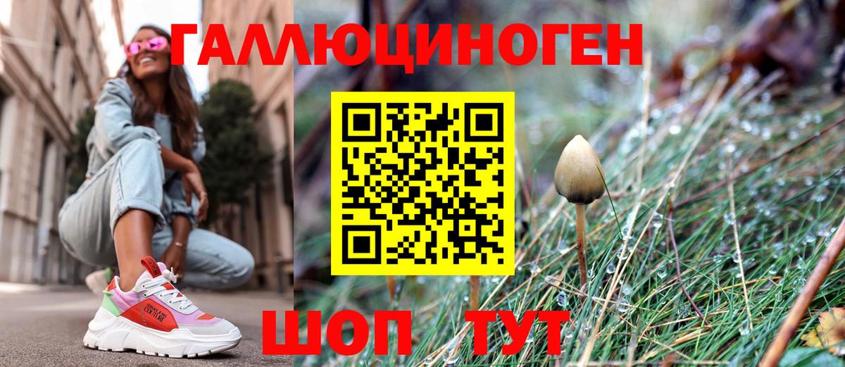Галлюциногенные грибы ЛСД  Вход с VPN  Галлюциногенные грибы GOLDEN TEACHER  Кунгур 